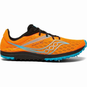 Blue Saucony Kilkenny XC9 Spike Women's Track Spikes | Philippines S90521-F75