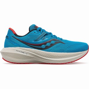 Blue Saucony Triumph 20 Men's Running Shoes | Philippines S63215-F02