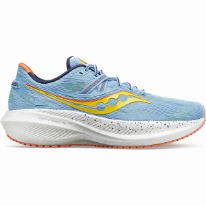 Blue Saucony Triumph 20 Women's Running Shoes | Philippines S82931-B36