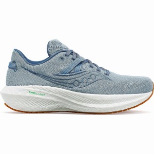 Blue Saucony Triumph RFG Men's Running Shoes | Philippines S59283-G45