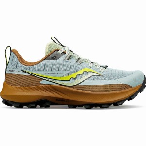 Brown Saucony Peregrine 13 Women's Trail Running Shoes | Philippines S24501-U85