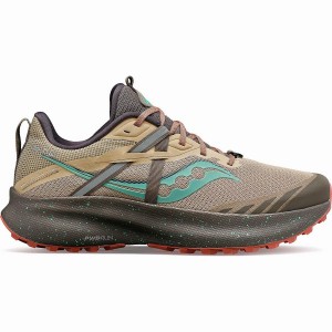 Brown / Turquoise Saucony Ride 15 TR Women's Trail Running Shoes | Philippines S58347-D18