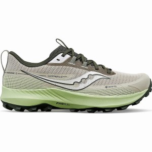 Dust / Umbra Saucony Peregrine 13 GTX Men's Running Shoes | Philippines S15782-B97