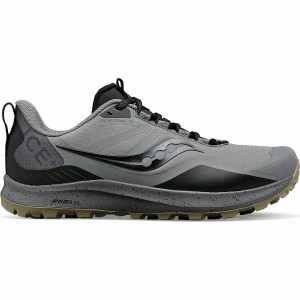 Grey / Black Saucony Peregrine ICE+ 3 Men's Running Shoes | Philippines S43105-Z09