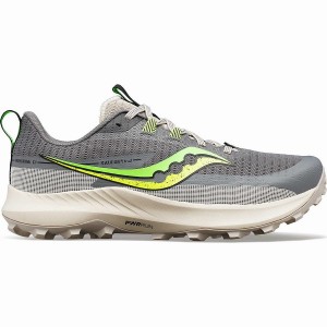 Grey / Green Saucony Peregrine 13 Men's Running Shoes | Philippines S15309-Y41