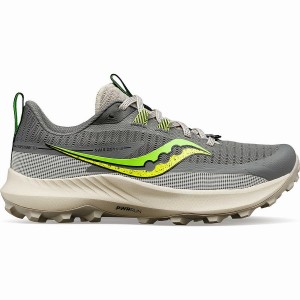 Grey / Green Saucony Peregrine 13 Women's Trail Running Shoes | Philippines S21095-T69