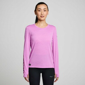 Purple Saucony Stopwatch Graphic Long Sleeve Women's T Shirts | Philippines S90356-J64