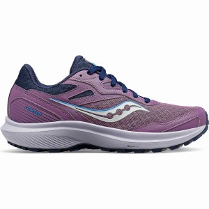 Purple / Navy Saucony Cohesion TR16 Women's Trail Running Shoes | Philippines S12035-X10