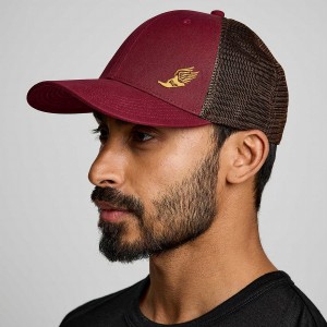 Red Saucony Trucker Men's Hats | Philippines S85641-A82