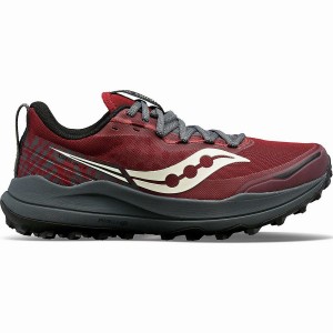 Red / Grey Saucony Xodus Ultra 2 Women's Running Shoes | Philippines S51690-E58