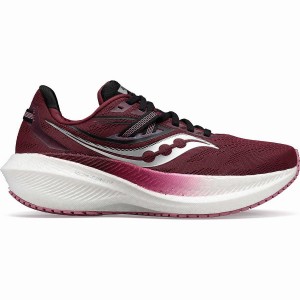 Red / Rose Saucony Triumph 20 Women's Running Shoes | Philippines S41320-X57