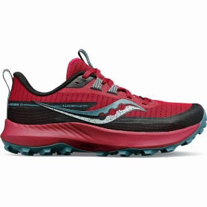 Red / Turquoise Saucony Peregrine 13 Women's Trail Running Shoes | Philippines S37689-X70