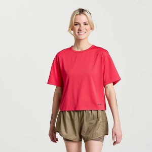 Rose Saucony Elevate Short Sleeve Women's T Shirts | Philippines S78694-P21