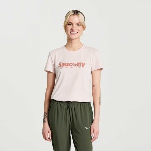 Rose Saucony Rested Women's T Shirts | Philippines S53918-V80