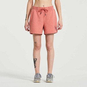 Soot Heather Graphic Saucony Rested Sweat Women's Shorts | Philippines S85972-J03