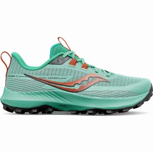 Turquoise / Orange Saucony Peregrine 13 Women's Trail Running Shoes | Philippines S58604-B95