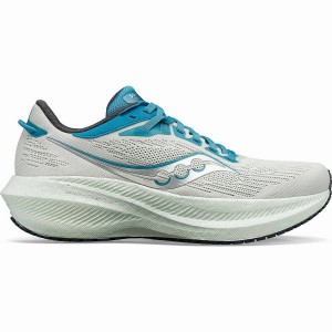 White / Blue Saucony Triumph 21 Women's Running Shoes | Philippines S90362-X56