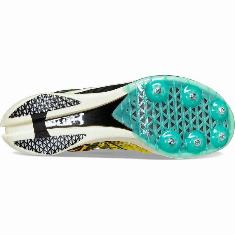 Black Saucony Endorphin Cheetah Women's Track Spikes | Philippines S97521-R43