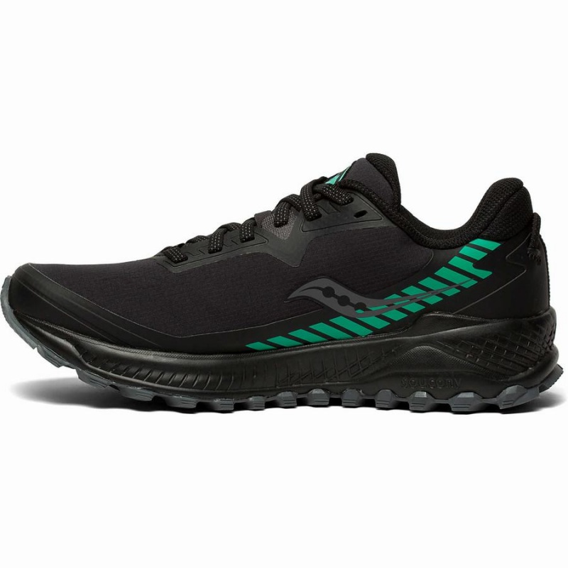 Black Saucony Peregrine ICE+ Women's Trail Running Shoes | Philippines S32764-J94