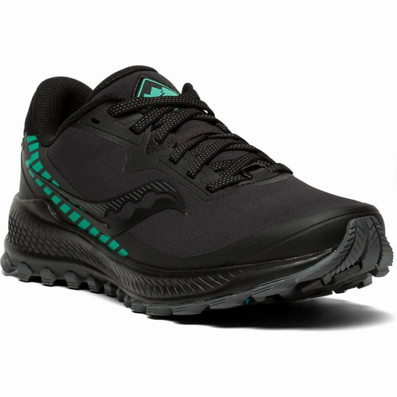 Black Saucony Peregrine ICE+ Women's Trail Running Shoes | Philippines S32764-J94