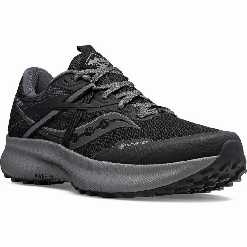 Black / Grey Saucony Ride 15 TR GTX Men's Trail Running Shoes | Philippines S74250-U13