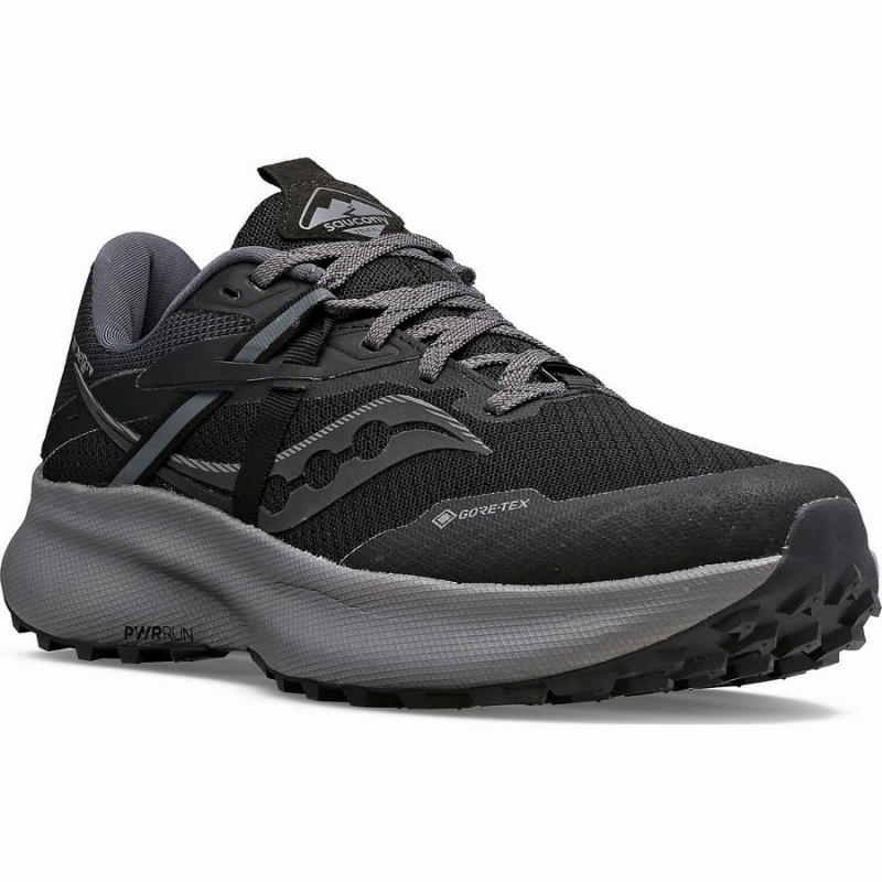 Black / Grey Saucony Ride 15 TR GTX Women's Trail Running Shoes | Philippines S30954-H49