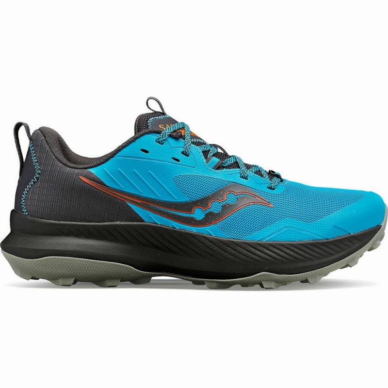 Blue Saucony Blaze TR Men\'s Trail Running Shoes | Philippines S15720-S87