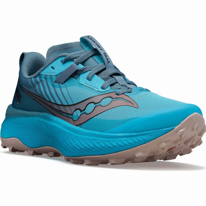 Blue Saucony Endorphin Edge Women's Running Shoes | Philippines S24960-J61