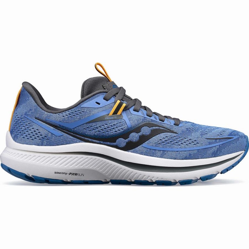 Blue / Grey Saucony Omni 21 Women\'s Running Shoes | Philippines S52831-C82