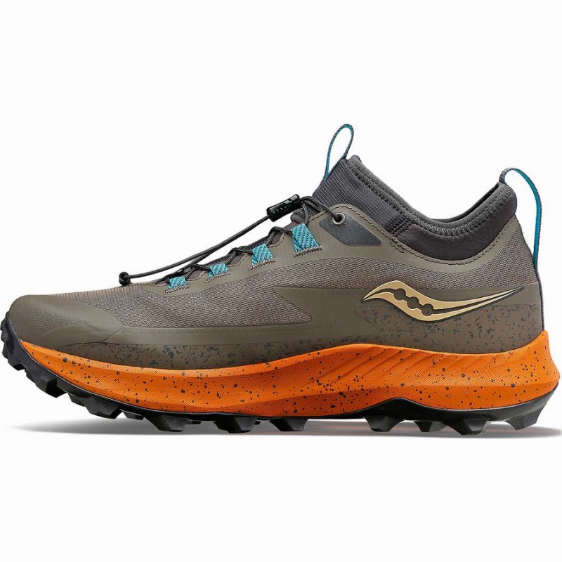 Brown Saucony Peregrine 13 ST Men's Trail Running Shoes | Philippines S30427-R82