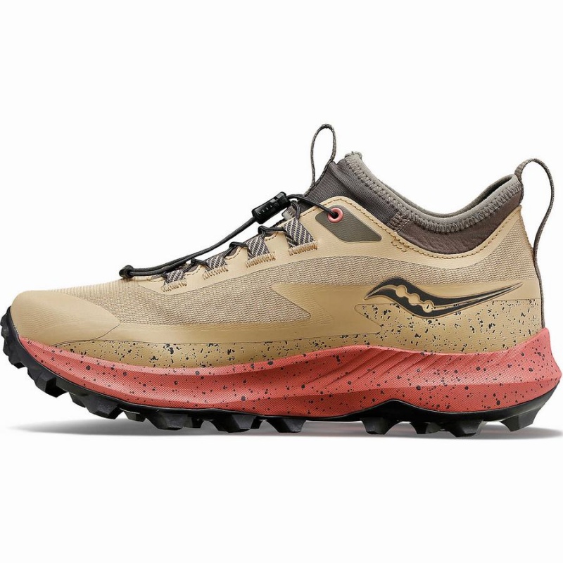 Brown Saucony Peregrine 13 ST Women's Trail Running Shoes | Philippines S73650-E80