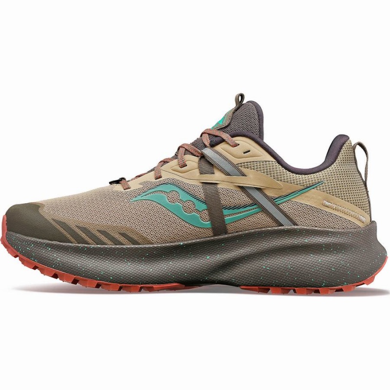 Brown / Turquoise Saucony Ride 15 TR Women's Trail Running Shoes | Philippines S58347-D18