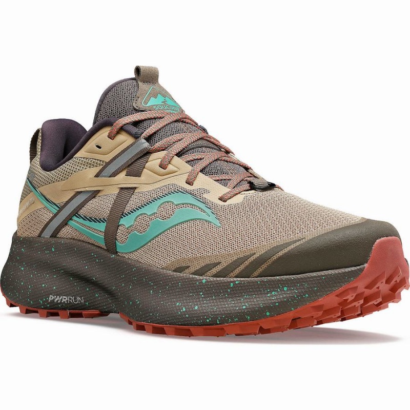 Brown / Turquoise Saucony Ride 15 TR Women's Trail Running Shoes | Philippines S58347-D18