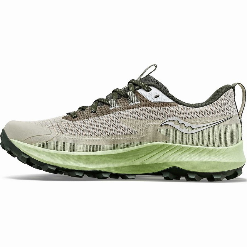 Dust / Umbra Saucony Peregrine 13 GTX Men's Running Shoes | Philippines S15782-B97