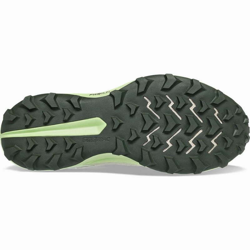 Dust / Umbra Saucony Peregrine 13 GTX Men's Running Shoes | Philippines S15782-B97