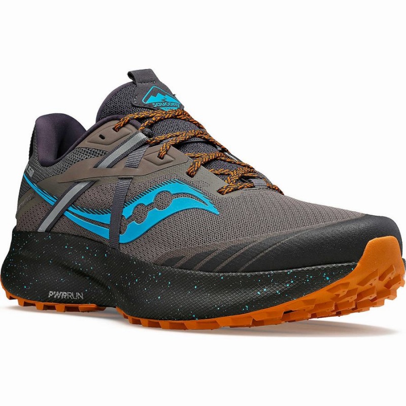 Grey / Blue Saucony Ride 15 TR Men's Trail Running Shoes | Philippines S61478-P92