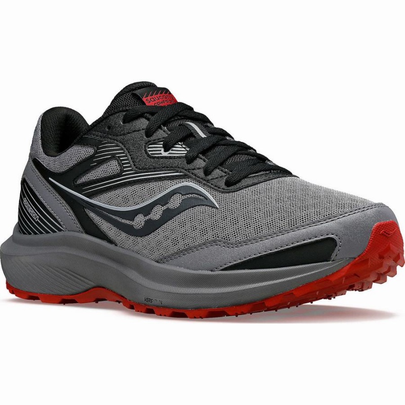 Grey / Burgundy Saucony Cohesion TR16 Men's Running Shoes | Philippines S80647-Y81