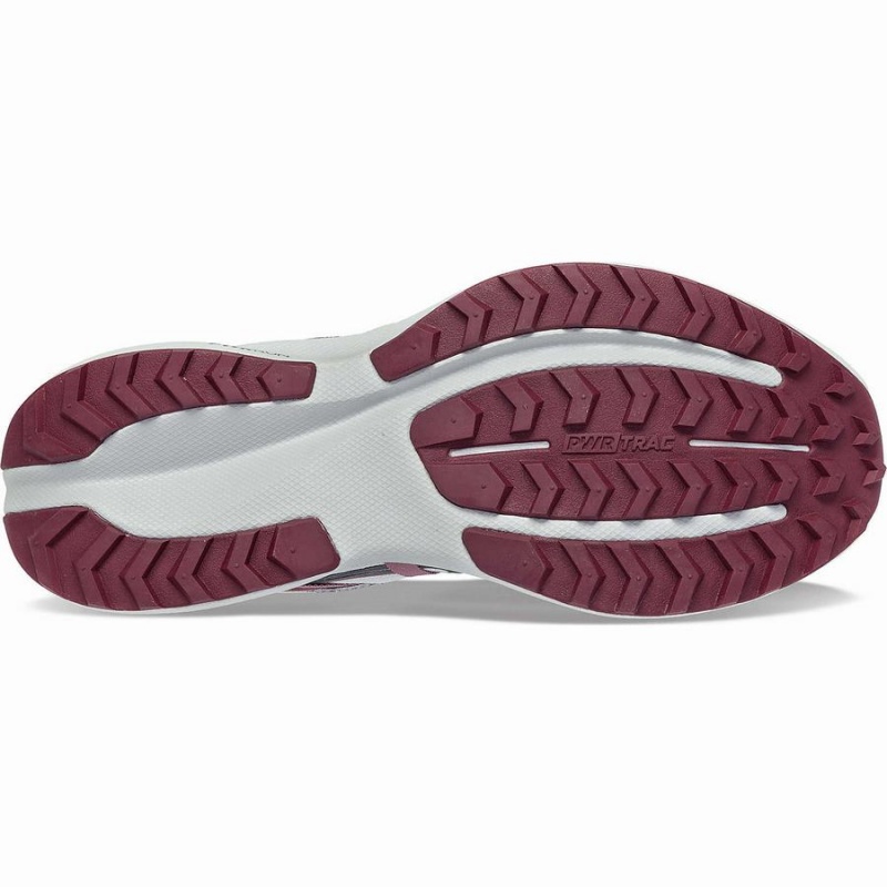 Grey / Purple Saucony Ride 15 TR Women's Trail Running Shoes | Philippines S25891-S87