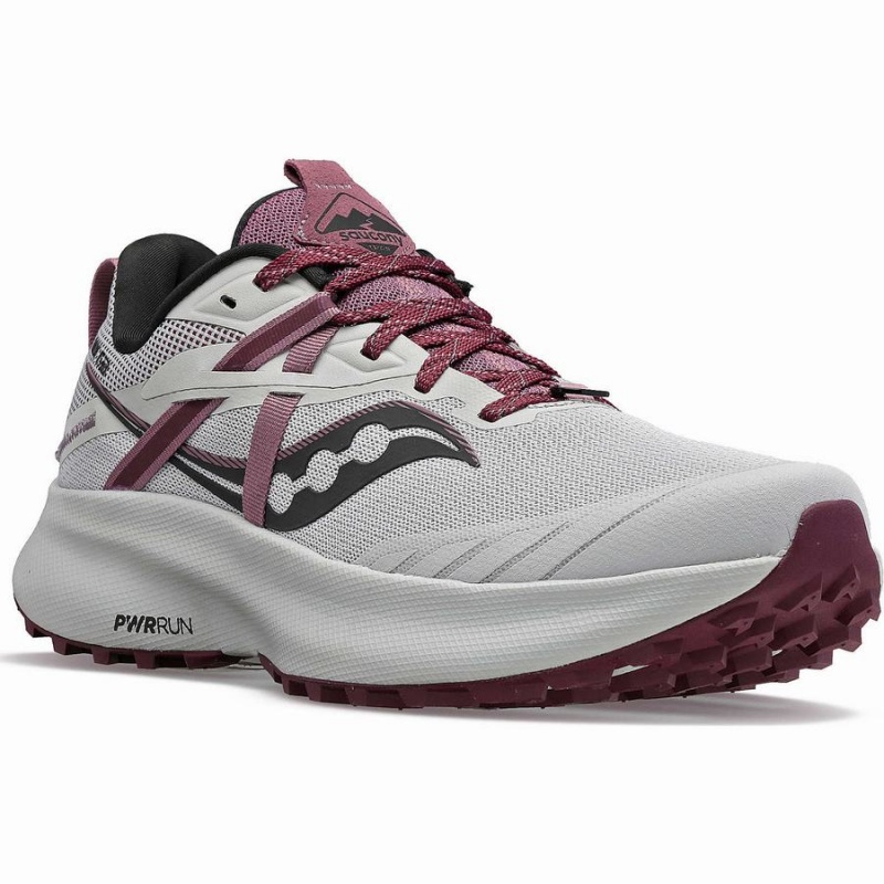 Grey / Purple Saucony Ride 15 TR Women's Trail Running Shoes | Philippines S25891-S87