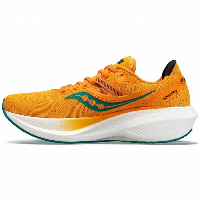 Orange Saucony Triumph 20 Men's Running Shoes | Philippines S21786-L05