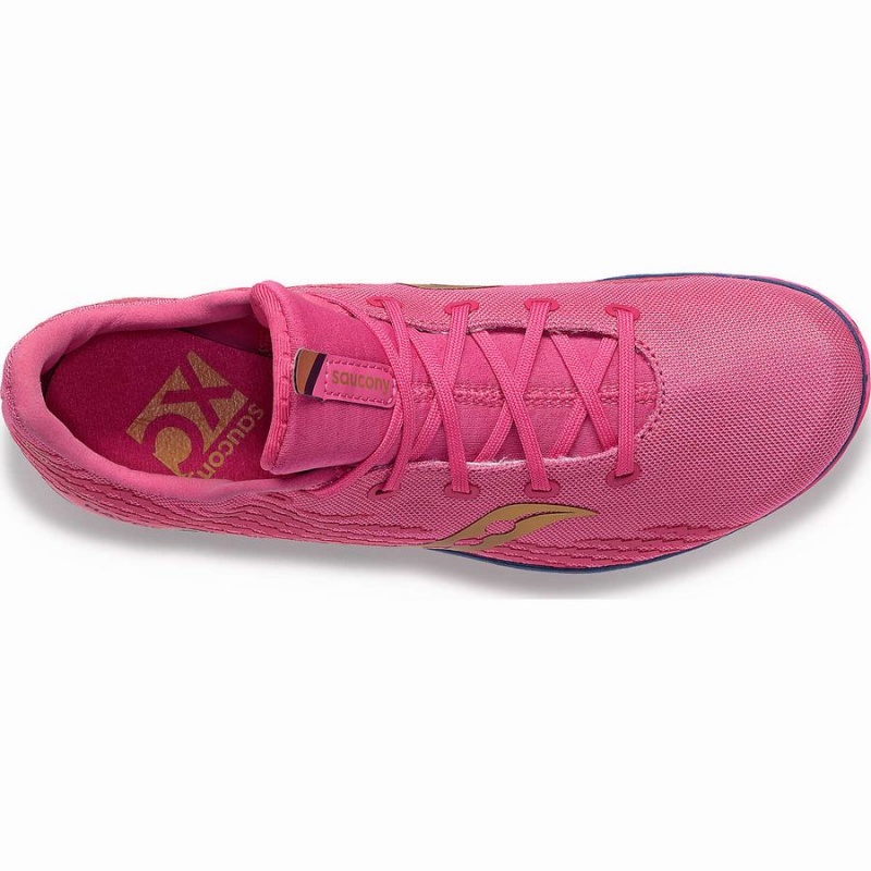 Pink / Navy Saucony Havok XC 3 Spike Men's Track Spikes | Philippines S47593-L94