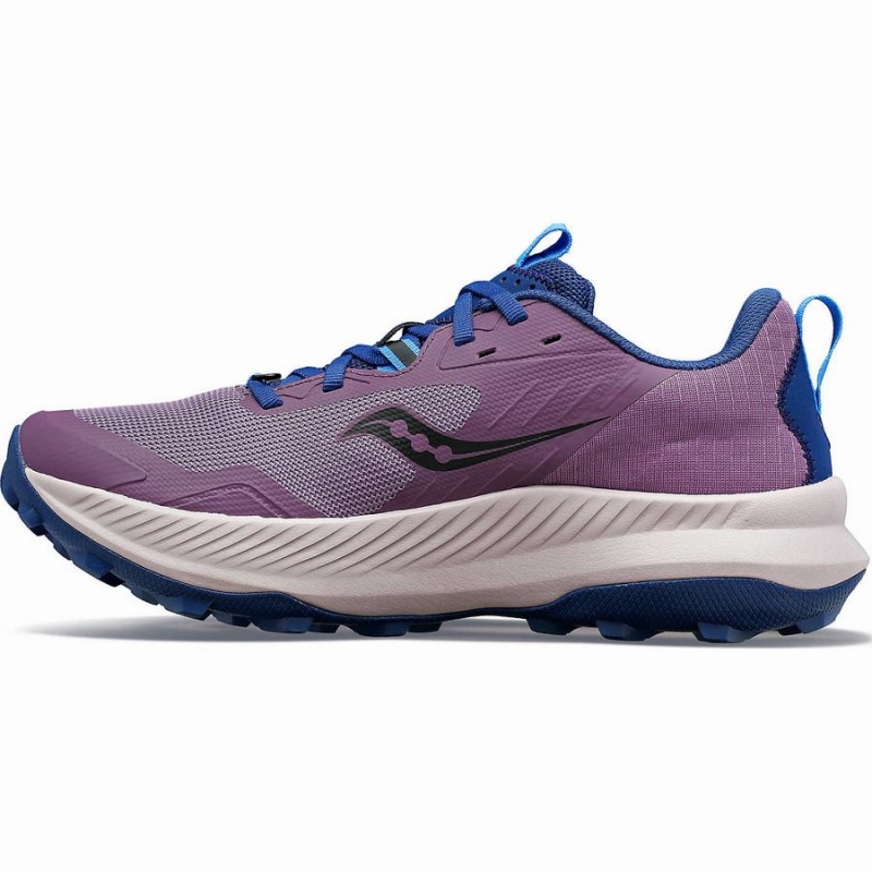 Purple / Indigo Saucony Blaze TR Women's Running Shoes | Philippines S16724-D62