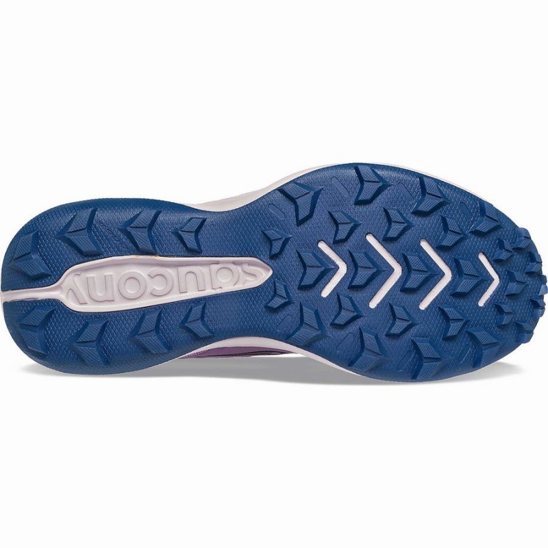 Purple / Indigo Saucony Blaze TR Women's Running Shoes | Philippines S16724-D62