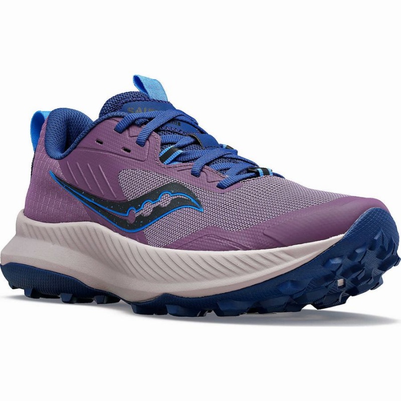 Purple / Indigo Saucony Blaze TR Women's Running Shoes | Philippines S16724-D62