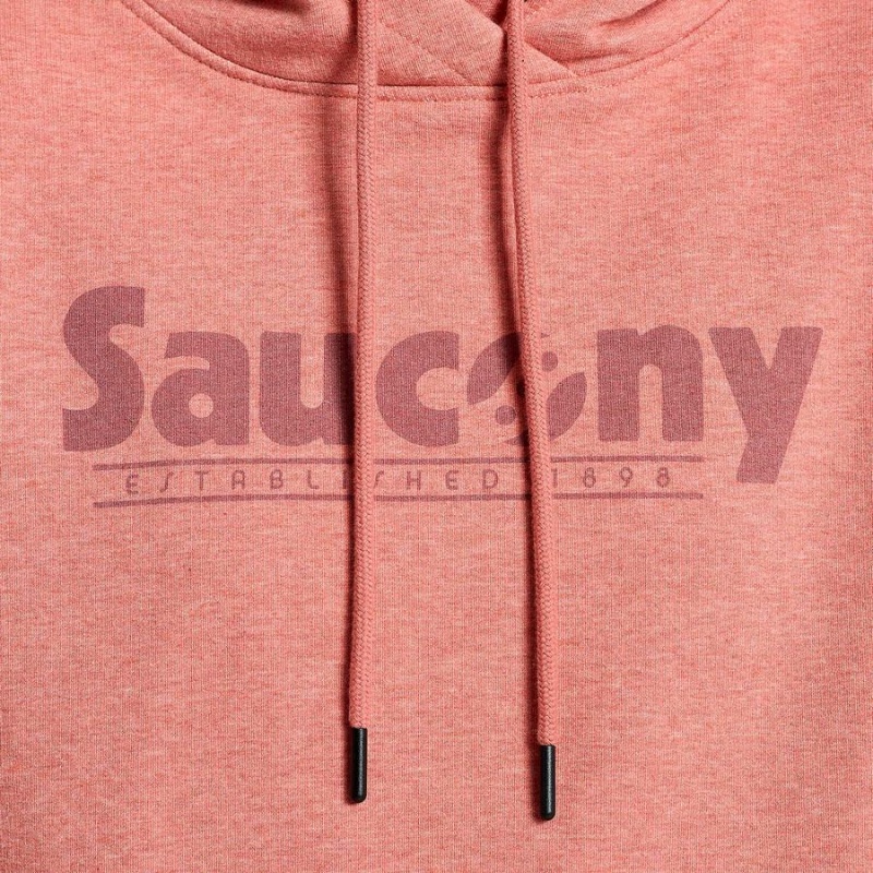 Soot Heather Graphic Saucony Rested Women's Hoodie | Philippines S80425-R41